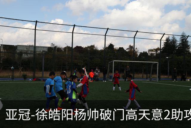 亚冠-徐皓阳杨帅破门高天意2助攻 申花2-1淡滨尼流浪者